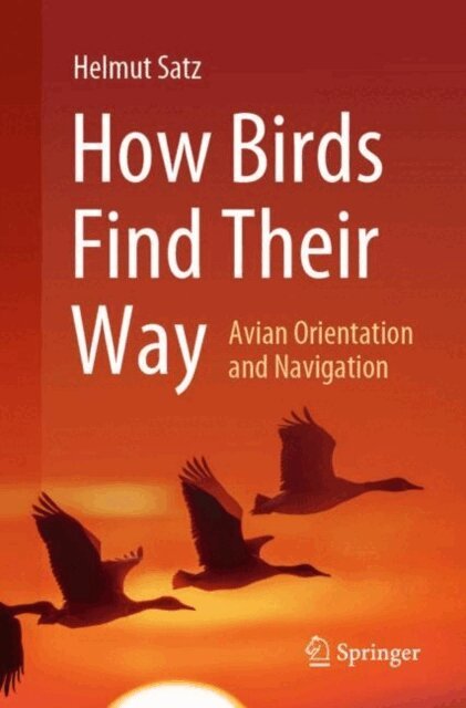 Helmut Satz - How Birds Find Their Way, E-bok