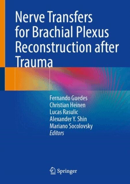 Mariano Socolovsky, Alexander Y. Shin, Lukas Rasulic, Christian Heinen, Fernando Guedes - Nerve Transfers for Brachial Plexus Reconstruction after Trauma, E-bok
