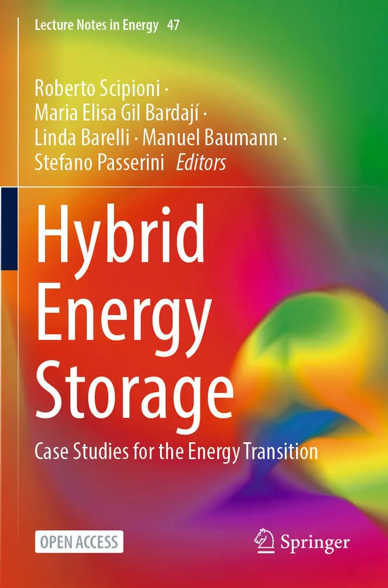 Roberto Scipioni, Maria Elisa Gil Bardají, Linda Barelli, Manuel Baumann, Stefano Passerini - Hybrid Energy Storage, Häftad. Tillgänglighet: Lägg i varukorg