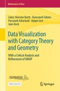 Data Visualization with Category Theory and Geometry