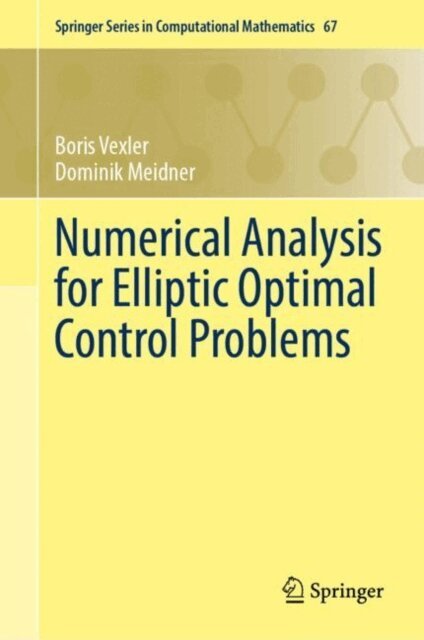 Dominik Meidner, Boris Vexler - Numerical Analysis for Elliptic Optimal Control Problems, E-bok