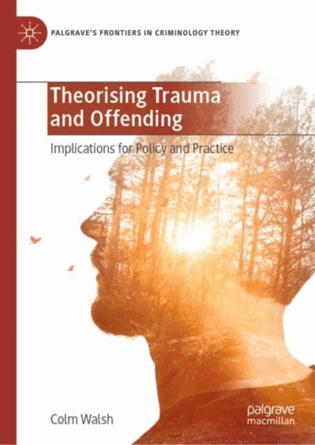 Colm Walsh - Theorising Trauma and Offending, E-bok