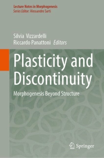 Riccardo Panattoni, Silvia Vizzardelli - Plasticity and Discontinuity, E-bok