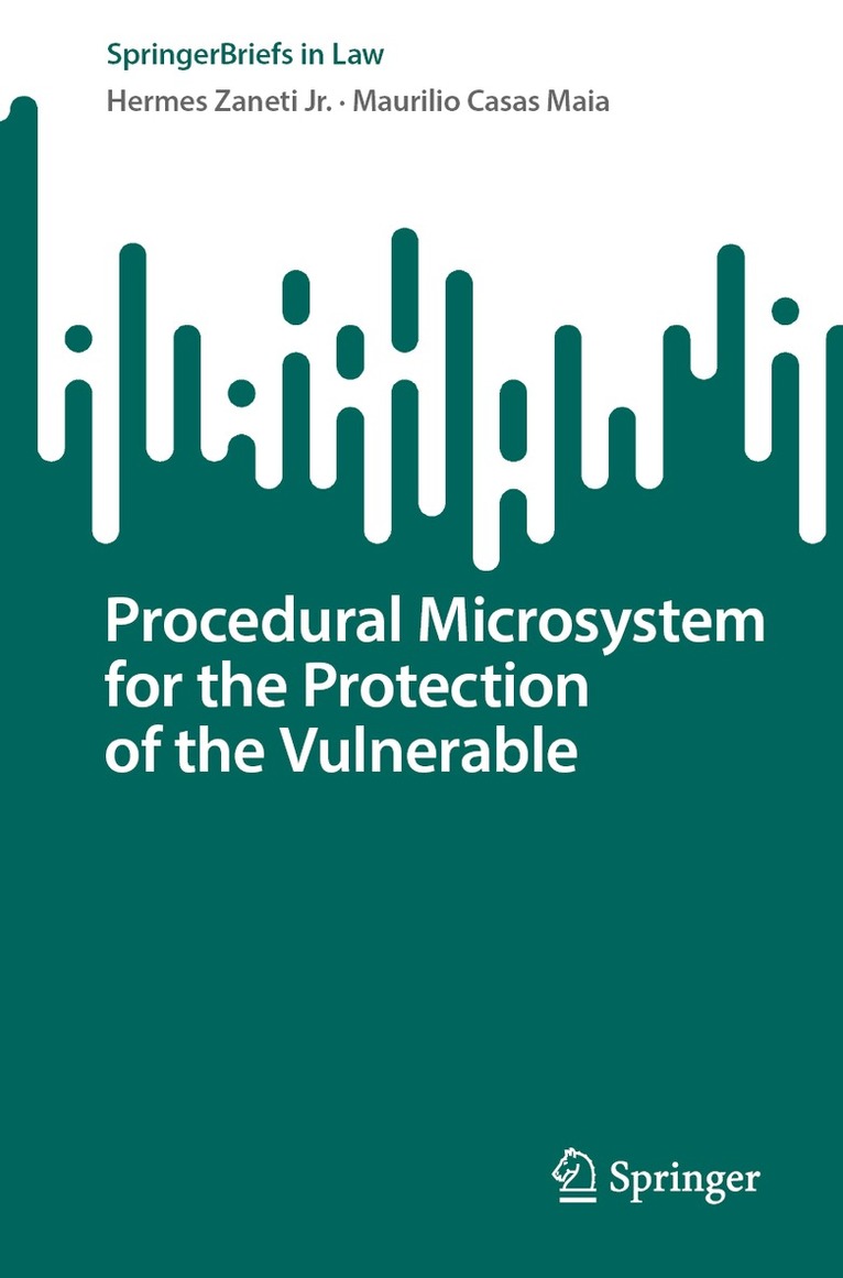 Hermes Zaneti Jr., Maurilio Casas Maia - Procedural Microsystem for the Protection of the Vulnerable, Häftad. Tillgänglighet: Kommande