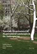 Naturally Hypernatural III: Hypernatural Landscapes in the Anthropocene