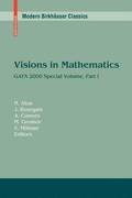 Visions in Mathematics