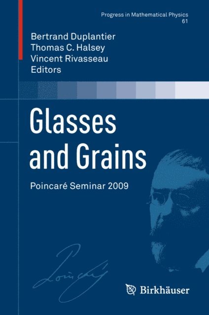 Vincent Rivasseau, Thomas C. Halsey, Bertrand Duplantier - Glasses and Grains, E-bok