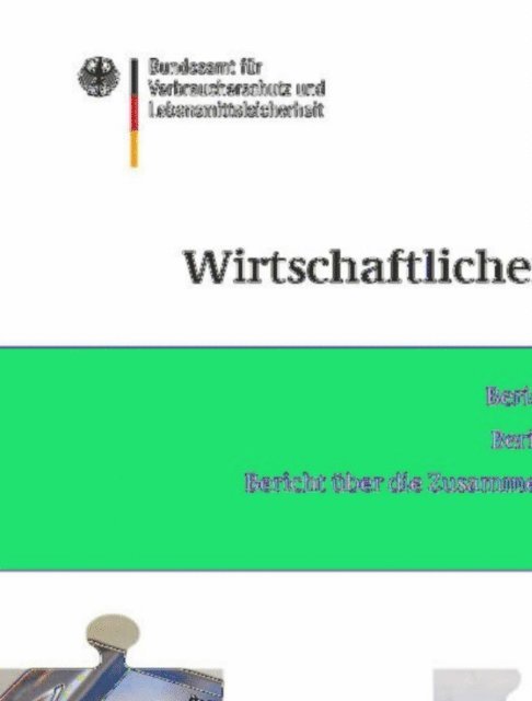 Saskia Dombrowski - Berichte zum Wirtschaftlichen Verbraucherschutz 2009/2010, E-bok