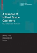 A Glimpse at Hilbert Space Operators