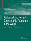 Historical and Recent Catastrophic Tsunamis in the World