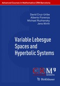 Variable Lebesgue Spaces and Hyperbolic Systems