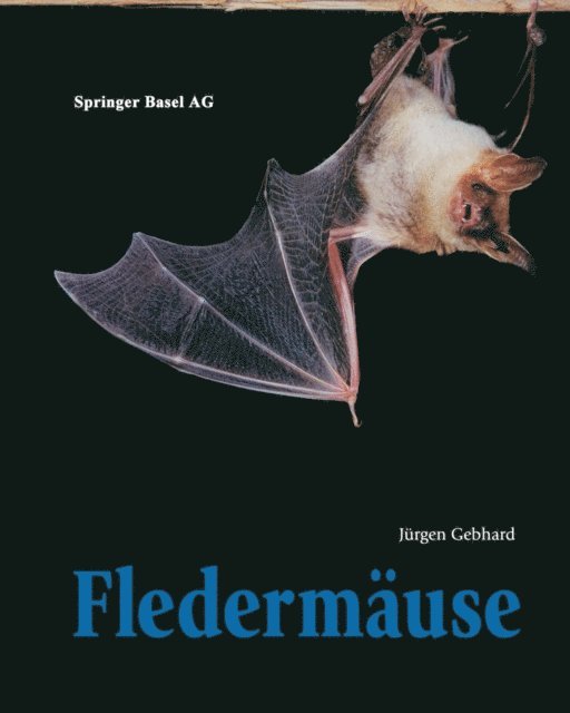 Jurgen Gebhard - Fledermäuse, E-bok