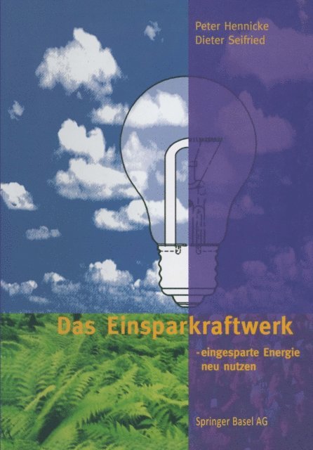 Dieter Seifried, Peter Hennicke - Das Einsparkraftwerk, E-bok