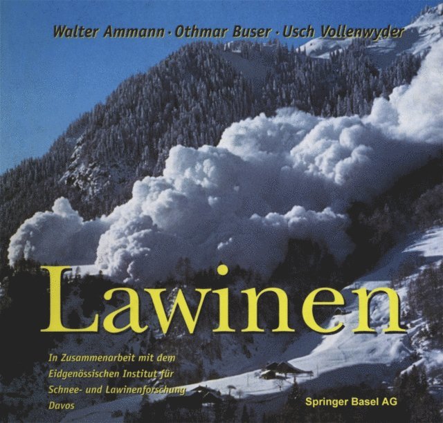 Vollenwyder, Buser, Ammann - Lawinen, E-bok