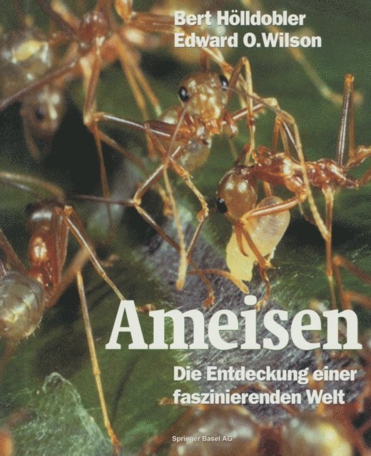 Edward O. Wilson, Bert Holldobler - Ameisen, E-bok