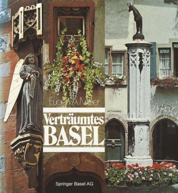 MEIER - Verträumtes Basel, E-bok