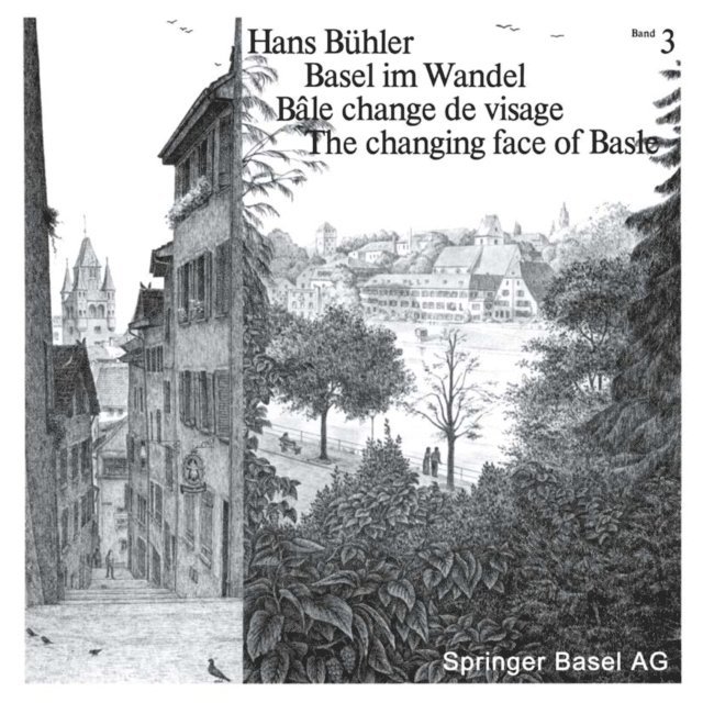 BUHLER - Basel im Wandel / Bâle change de visage / The changing face of Basle, E-bok