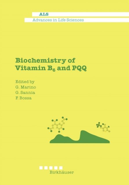 F. Bossa, G. Sannia, G. Marino - Biochemistry of Vitamin B6 and PQQ, E-bok