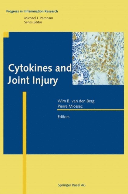 Pierre Miossec, Wim B. van den Berg - Cytokines and Joint Injury, E-bok