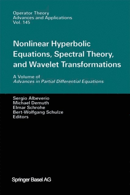 Bert-Wolfgang Schulze, Elmar Schrohe, Michael Demuth, Sergio Albeverio - Nonlinear Hyperbolic Equations, Spectral Theory, and Wavelet Transformations, E-bok