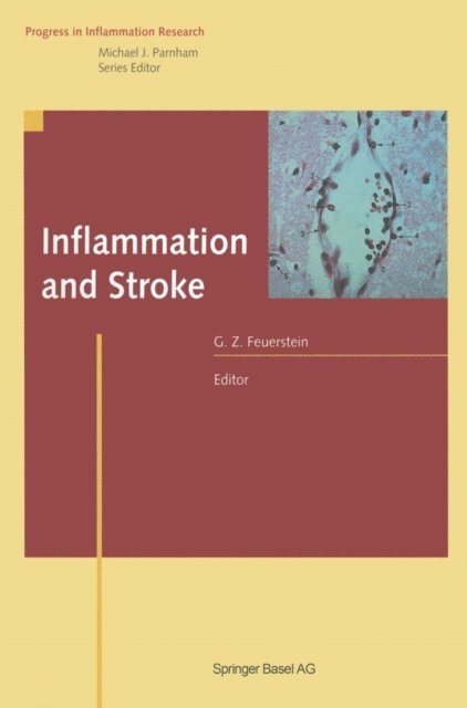 Giora Z. Feuerstein - Inflammation and Stroke, E-bok