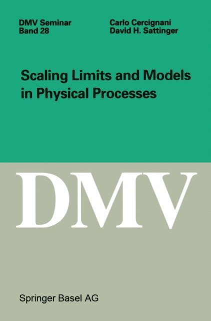 David Sattinger, Carlo Cercignani - Scaling Limits and Models in Physical Processes, E-bok
