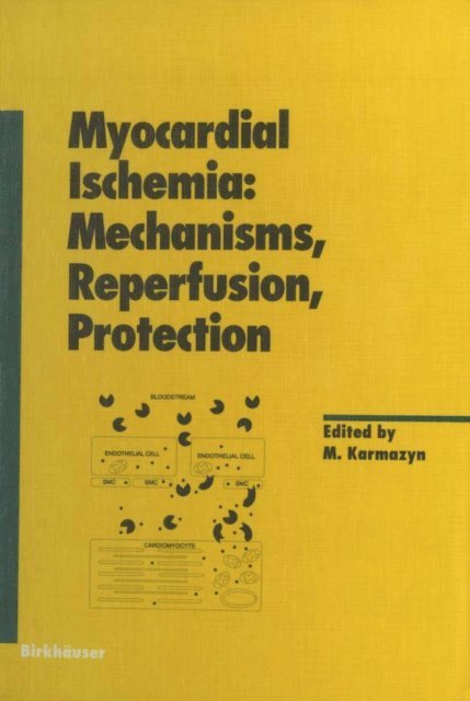 Myocardial Ischemia: Mechanisms, Reperfusion, Protection