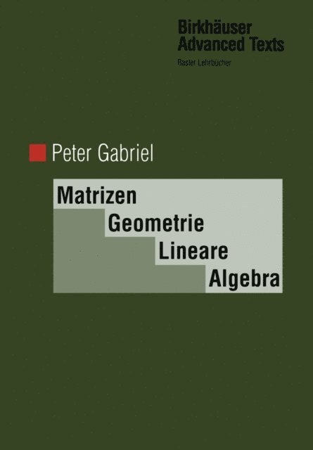 Peter Gabriel - Matrizen, Geometrie, Lineare Algebra, E-bok