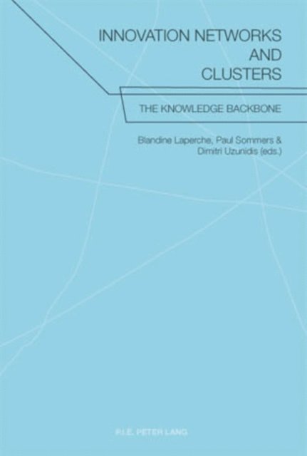 Dimitri Uzunidis, Paul Sommers, Blandine Laperche - Innovation Networks and Clusters, E-bok