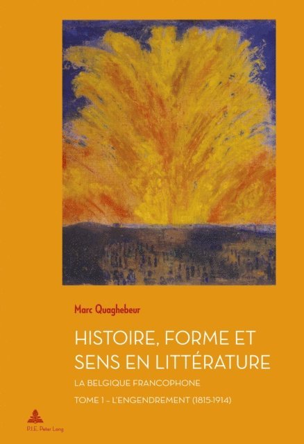 Quaghebeur Marc Quaghebeur - Histoire, Forme et Sens en Littérature, E-bok