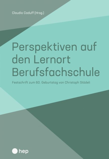 Claudio Caduff - Perspektiven auf den Lernort Berufsfachschule (E-Book), E-bok