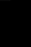 Senkblei der Geschichten