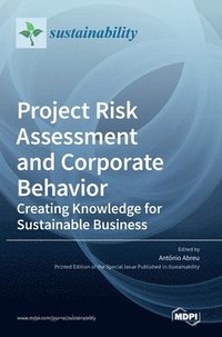 Project Risk Assessment and Corporate Behavior