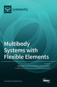 Multibody Systems with Flexible Elements