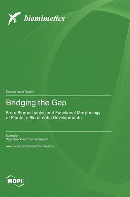 Bridging the Gap, Inbunden