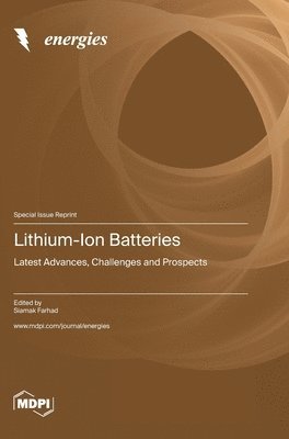 Lithium-Ion Batteries, Inbunden