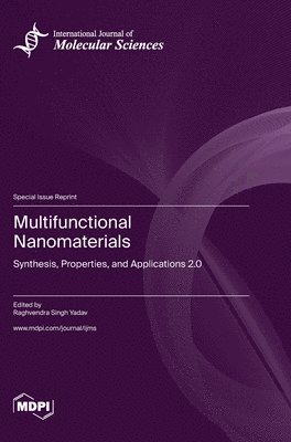 Multifunctional Nanomaterials, Inbunden