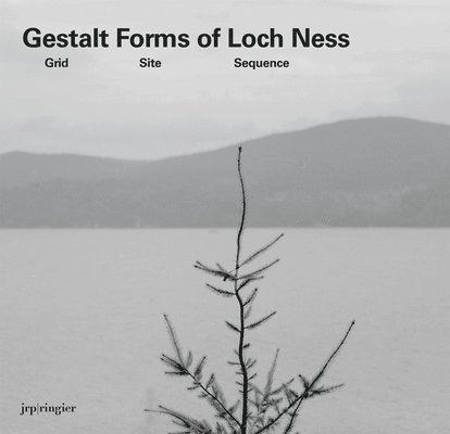 Dillon Brian, Anthony Spira, Andrea Viliani, Anthony Spira - Gerard Byrne: Gestalt Forms of Loch Ness, Inbunden. Tillgänglighet: Tillfälligt slut