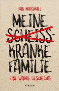 Meine scheikranke Familie