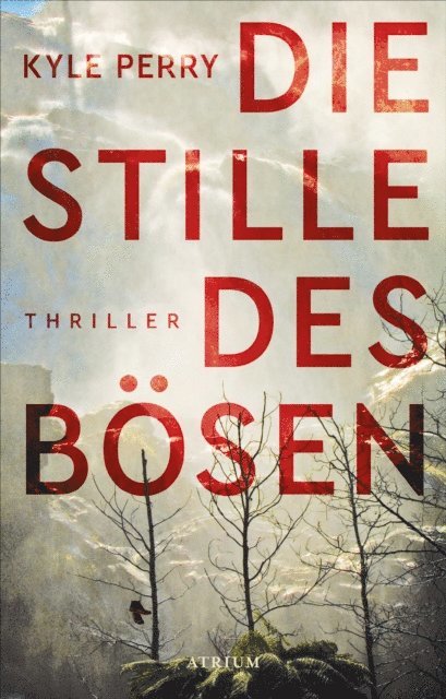 Kyle Perry - Die Stille des Bösen, E-bok