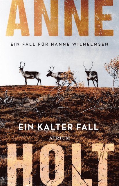 Anne Holt - Ein kalter Fall, E-bok
