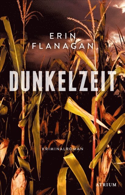 Erin Flanagan - Dunkelzeit, E-bok