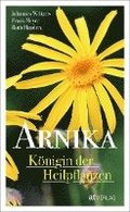 Arnika - Knigin der Heilpflanzen