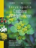 Enzyklopdie Essbare Wildpflanzen