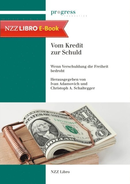 Christoph Schaltegger, Ivan Adamovich - Vom Kredit zur Schuld, E-bok