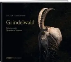 Speedy Füllemann - Grindelwald, Inbunden. Tillgänglighet: Lägg i varukorg