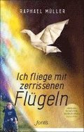 Ich fliege mit zerrissenen Flgeln