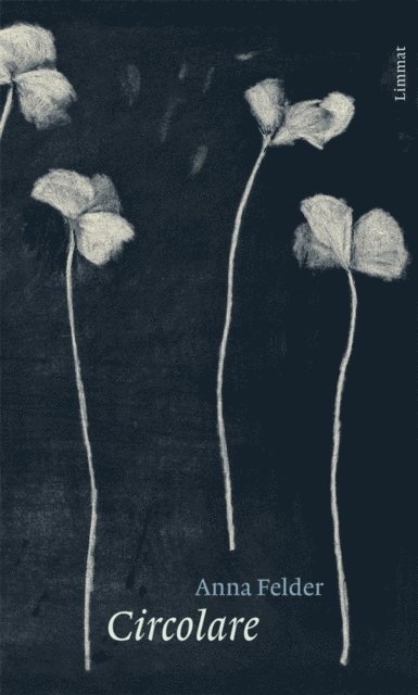 Anna Felder - Circolare, E-bok
