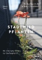 Jonas Frei - Stadtwildpflanzen, Inbunden