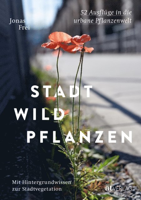 Jonas Frei - Stadtwildpflanzen, E-bok